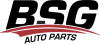 Zylinderköpfe BSG