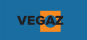 VEGAZ O2 sensor