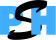 Startergenerator BV PSH