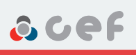 CEF onderdeel: Remslangen Nr. 511649