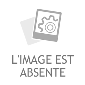 NP226 215/60 R16 1101821 pneu voiture