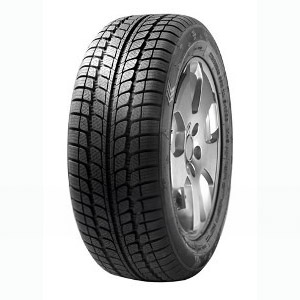 Winter 205/60 R16 FP36 bestelwagen banden
