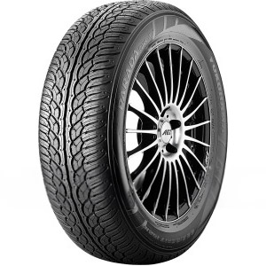 PARADA Spec-X (PA02) 255/40 R20 F0389 maasturien renkaat