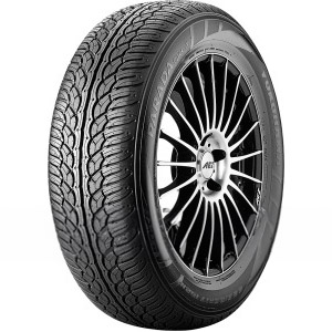 PARADA Spec-X (PA02) 255/45 R20 MPN: R-134041