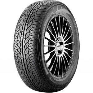 PARADA Spec-X (PA02) 255/30 R22 F1972 terreinwagen banden